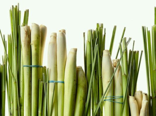 Hình ảnh nhiều bó sả dựng đứng theo hàng dọc