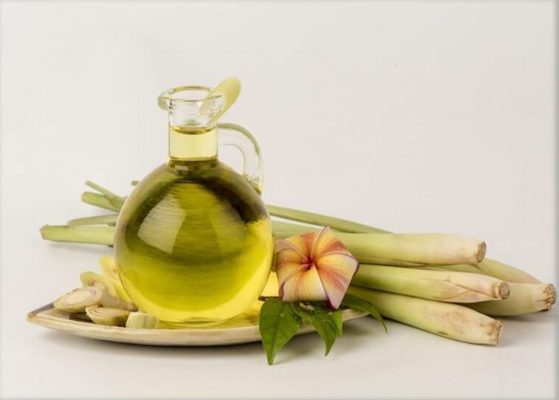 Hình ảnh minh họa tinh dầu sả