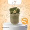 Sản phầm nến thơm matcha kem